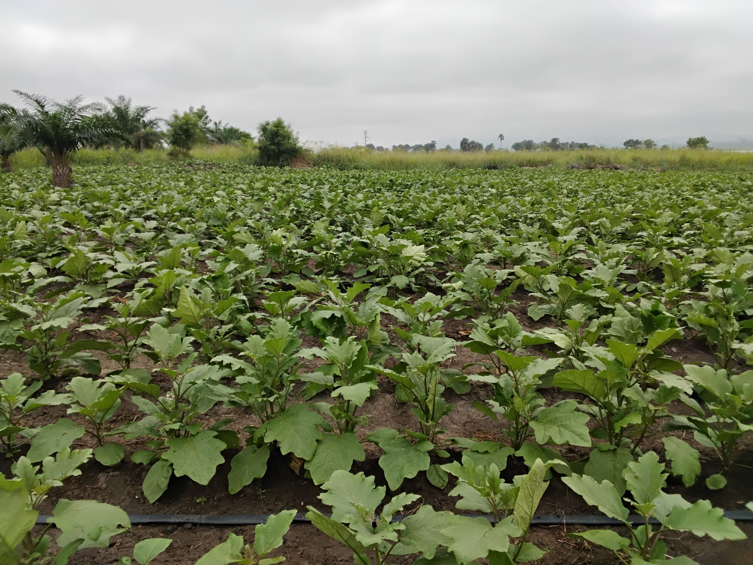 who-we-are 20260212 093826 Scaled