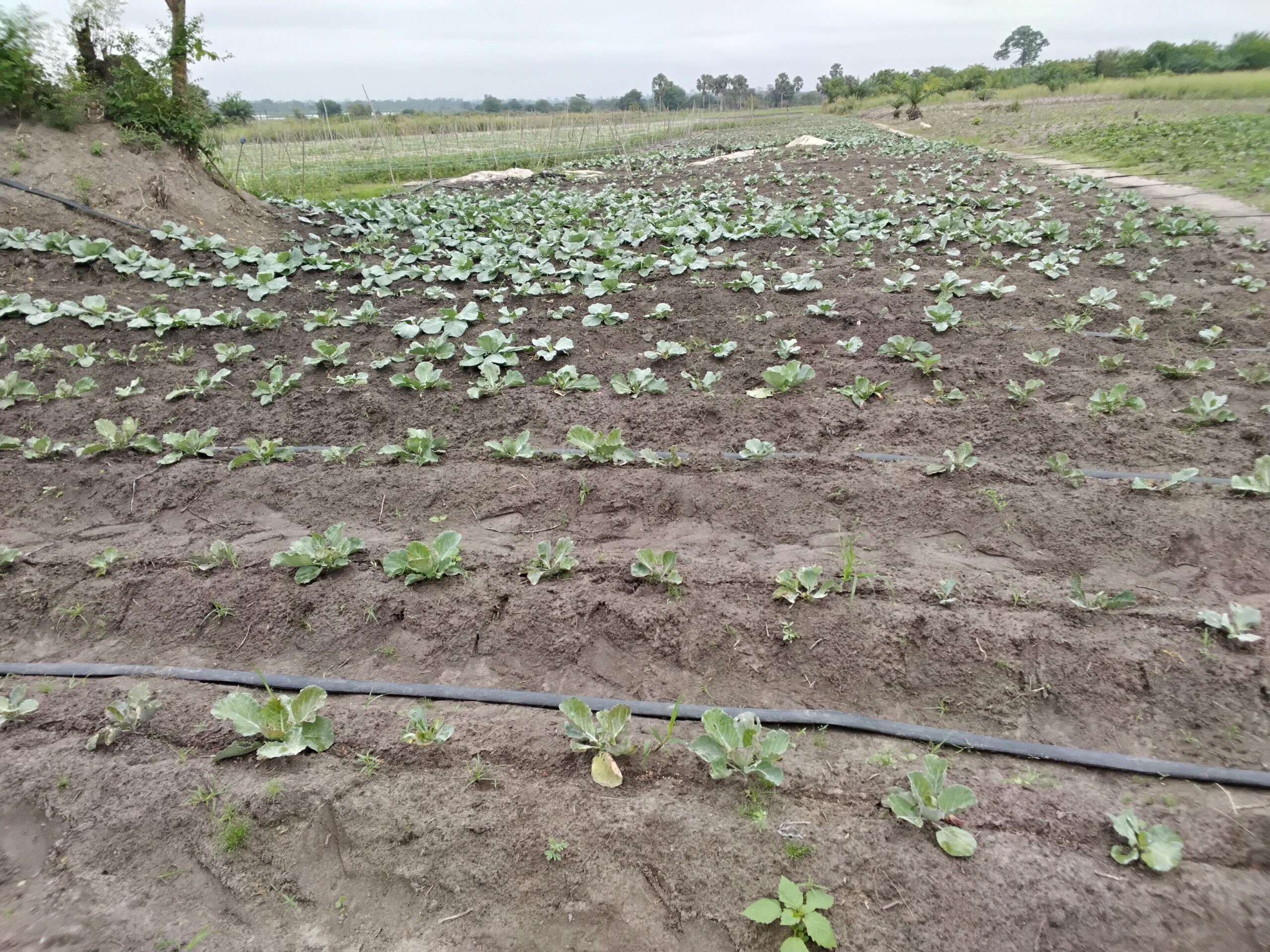 our-story 20260212 094048 Scaled