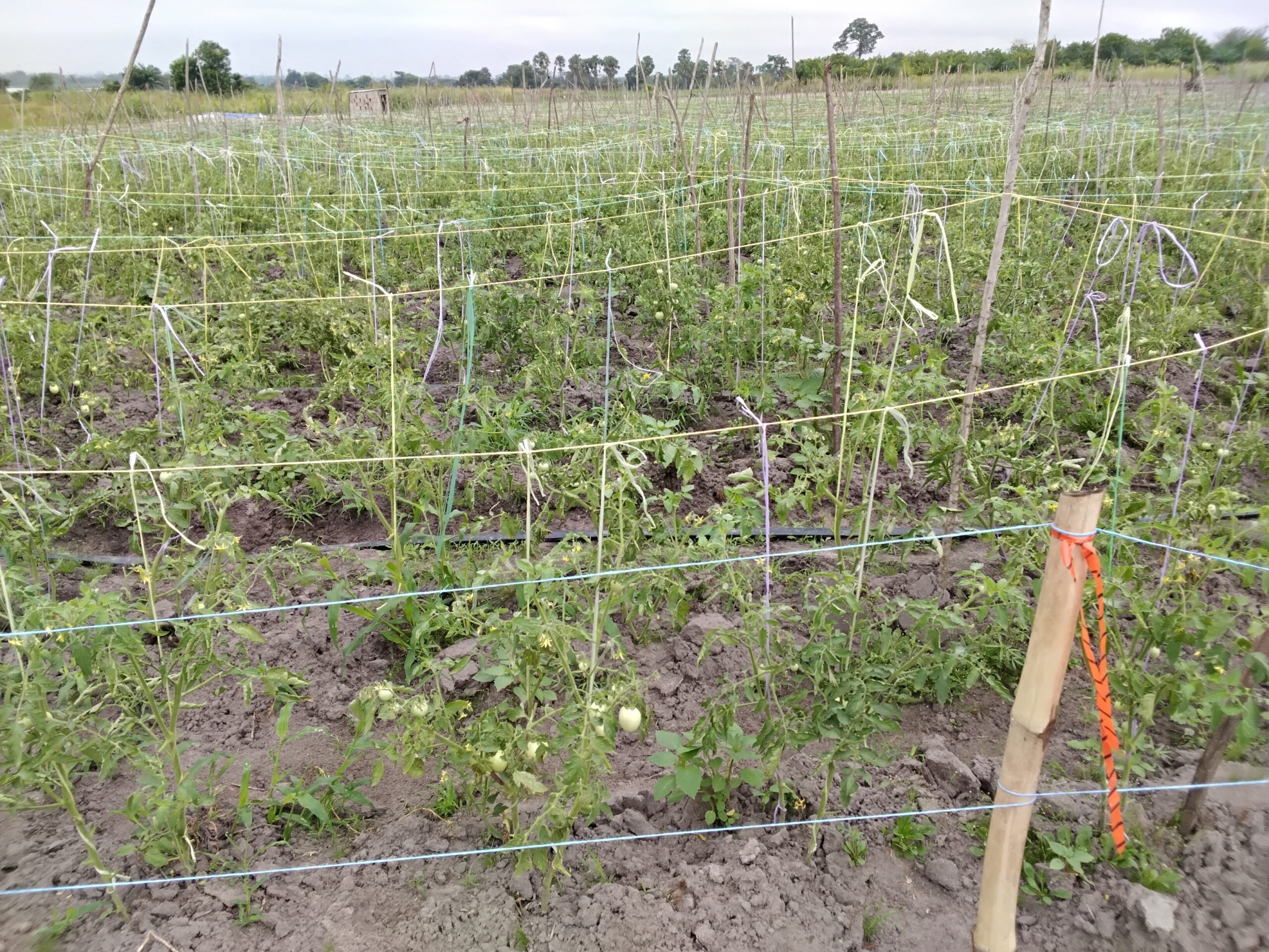 20260212 094223 Scaled